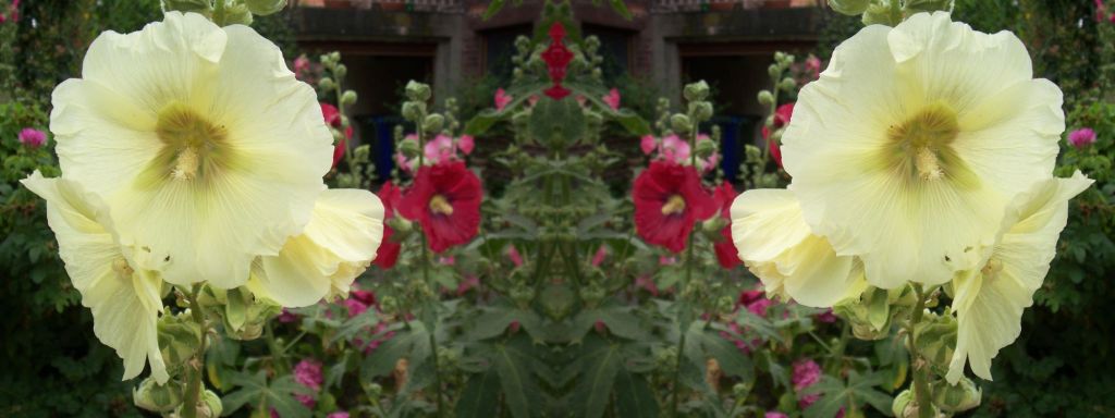 Wel of niet&nbsp;nu?