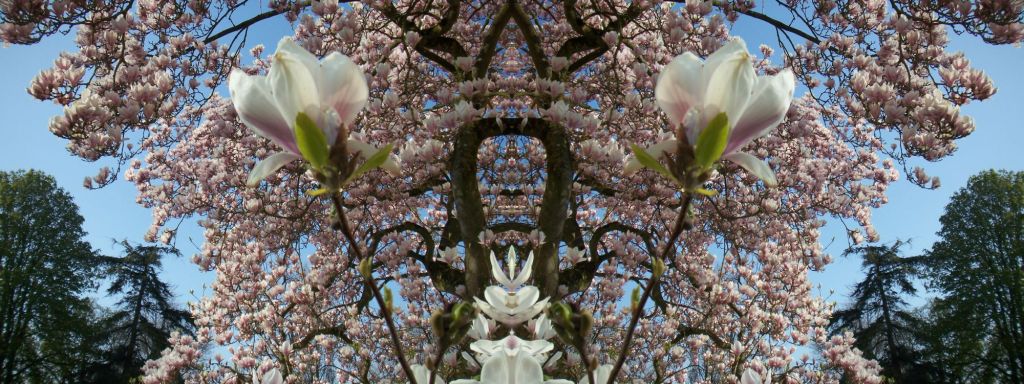 Smartphone verlichting 3