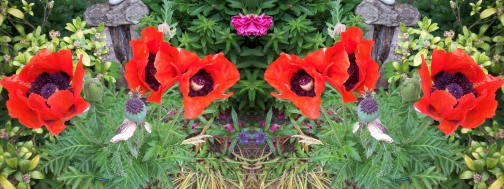 Identität oder Individu?