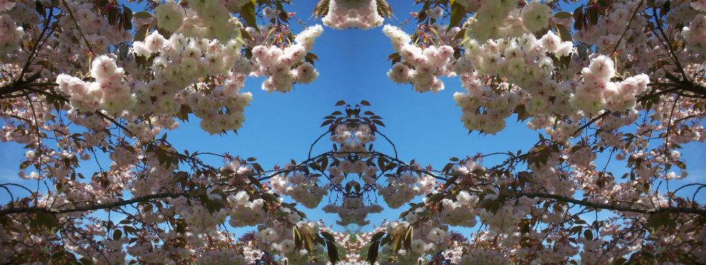 De stem van de&nbsp;stilte