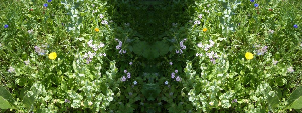 Je bent niet&nbsp;…..